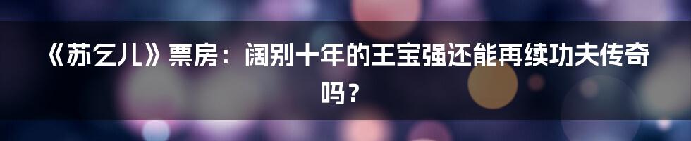 《苏乞儿》票房：阔别十年的王宝强还能再续功夫传奇吗？