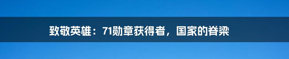 致敬英雄：71勋章获得者，国家的脊梁