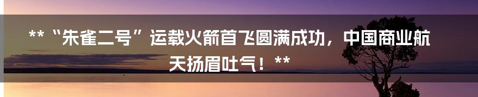 **“朱雀二号”运载火箭首飞圆满成功，中国商业航天扬眉吐气！**