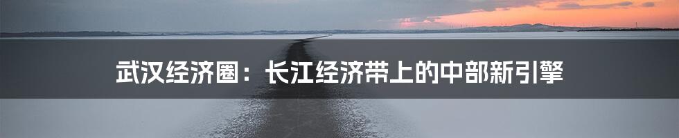 武汉经济圈：长江经济带上的中部新引擎