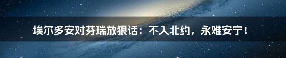 埃尔多安对芬瑞放狠话：不入北约，永难安宁！