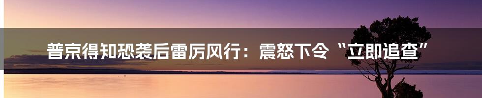 普京得知恐袭后雷厉风行：震怒下令“立即追查”