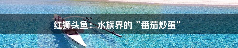 红狮头鱼：水族界的“番茄炒蛋”