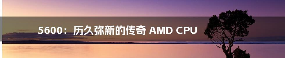 5600：历久弥新的传奇 AMD CPU