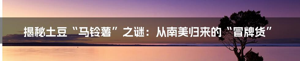 揭秘土豆“马铃薯”之谜：从南美归来的“冒牌货”