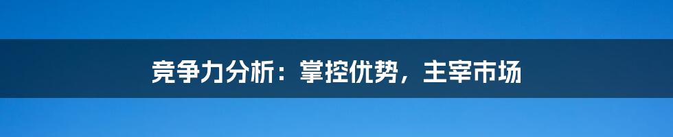 竞争力分析：掌控优势，主宰市场