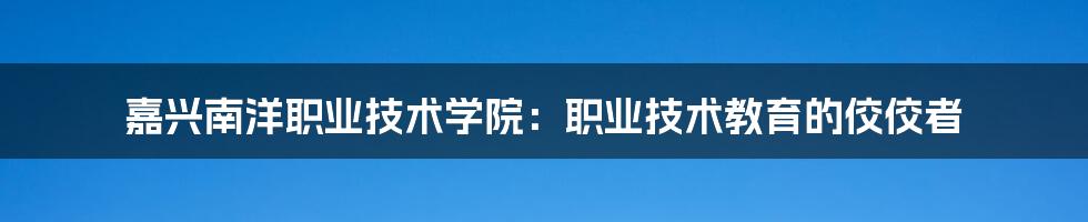 嘉兴南洋职业技术学院：职业技术教育的佼佼者