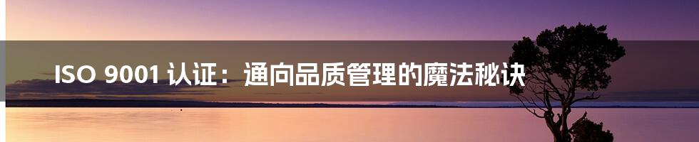 ISO 9001 认证：通向品质管理的魔法秘诀