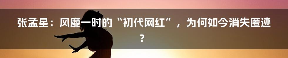 张孟星：风靡一时的“初代网红”，为何如今消失匿迹？