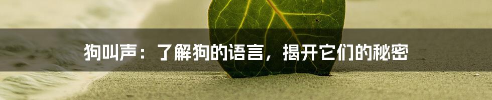 狗叫声：了解狗的语言，揭开它们的秘密