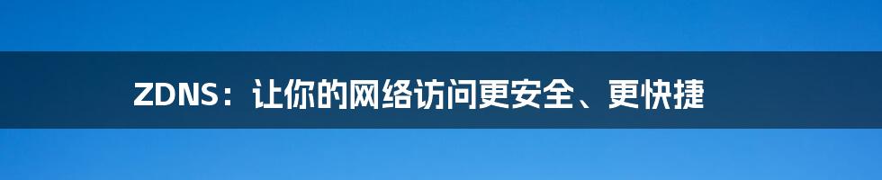 ZDNS：让你的网络访问更安全、更快捷