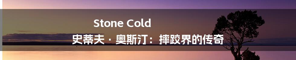 Stone Cold 史蒂夫·奥斯汀：摔跤界的传奇