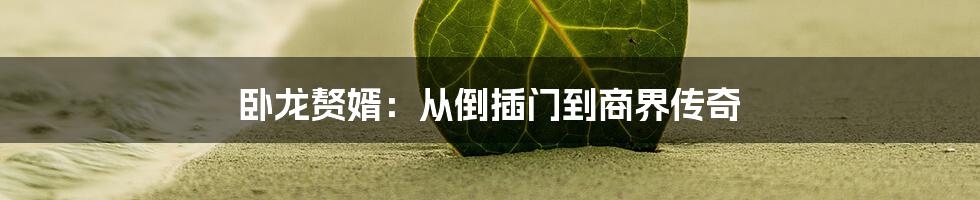 卧龙赘婿：从倒插门到商界传奇