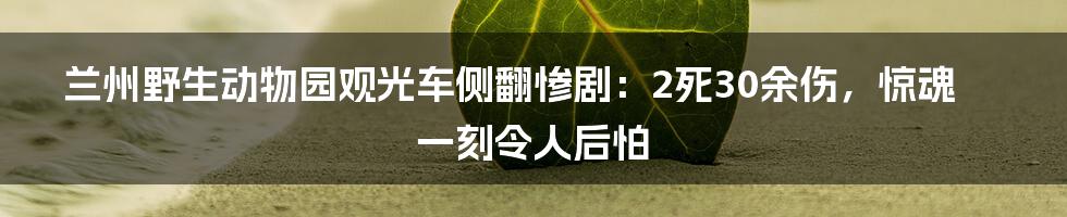 兰州野生动物园观光车侧翻惨剧：2死30余伤，惊魂一刻令人后怕