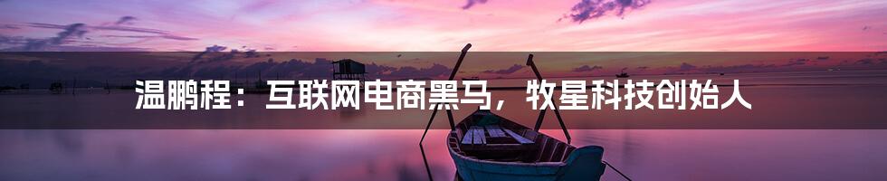 温鹏程：互联网电商黑马，牧星科技创始人