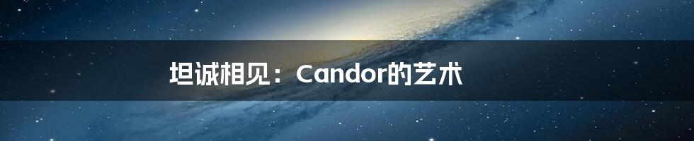 坦诚相见：Candor的艺术