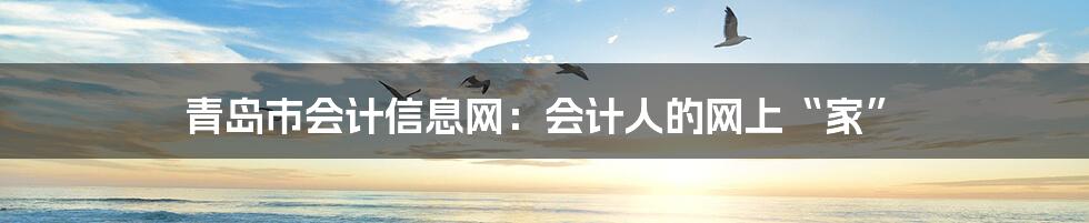 青岛市会计信息网：会计人的网上“家”