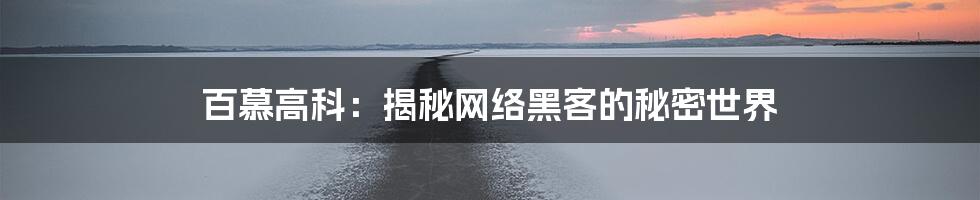 百慕高科：揭秘网络黑客的秘密世界