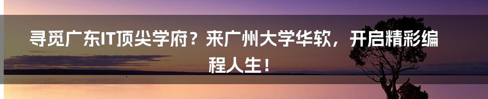 寻觅广东IT顶尖学府？来广州大学华软，开启精彩编程人生！