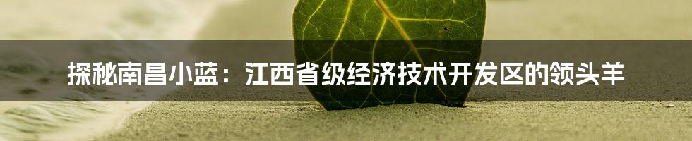 探秘南昌小蓝：江西省级经济技术开发区的领头羊