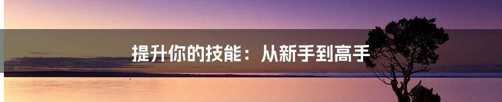 提升你的技能：从新手到高手