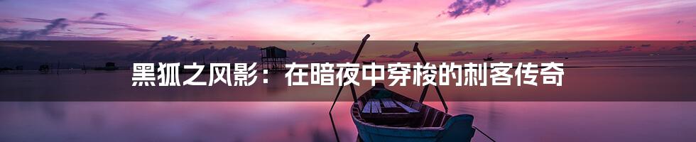 黑狐之风影：在暗夜中穿梭的刺客传奇