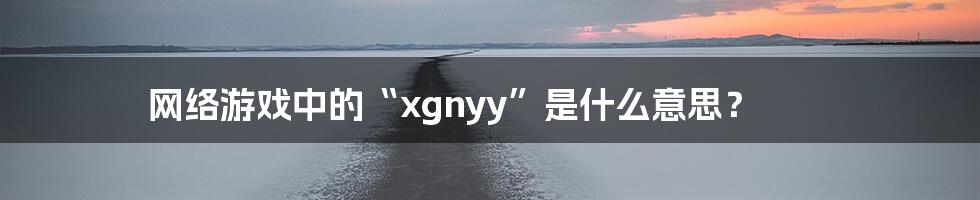 网络游戏中的“xgnyy”是什么意思？