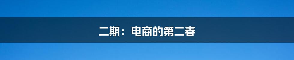 二期：电商的第二春