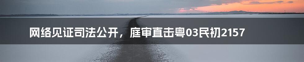 网络见证司法公开，庭审直击粤03民初2157