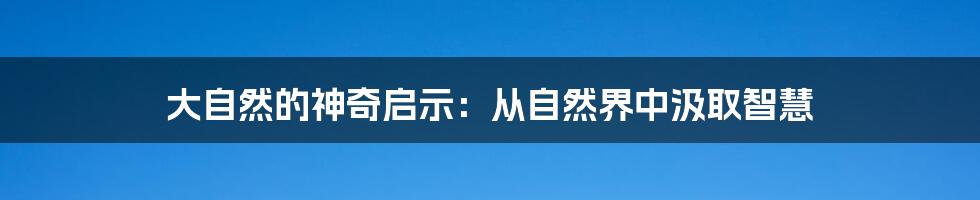 大自然的神奇启示：从自然界中汲取智慧