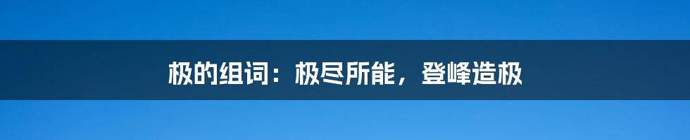 极的组词：极尽所能，登峰造极