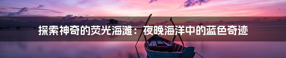 探索神奇的荧光海滩：夜晚海洋中的蓝色奇迹