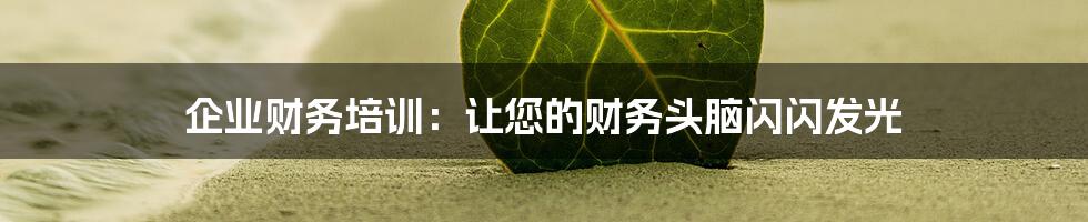 企业财务培训：让您的财务头脑闪闪发光