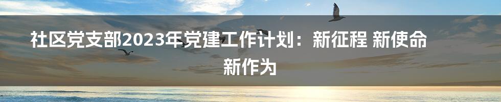 社区党支部2023年党建工作计划：新征程 新使命 新作为