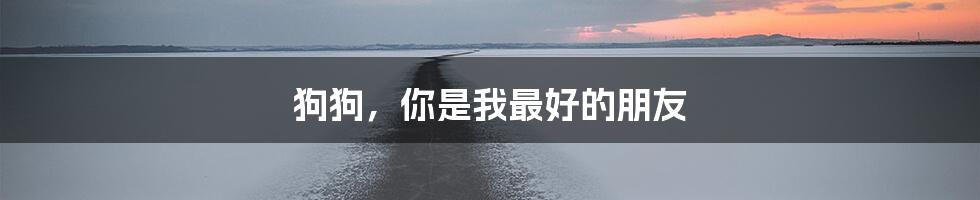 狗狗，你是我最好的朋友