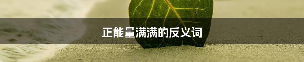 正能量满满的反义词