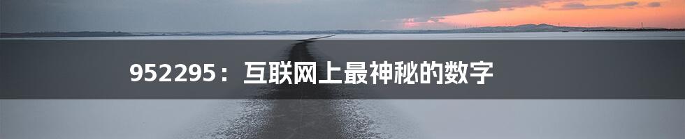 952295：互联网上最神秘的数字