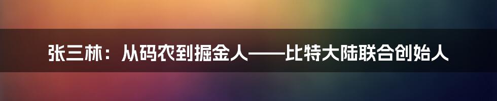 张三林：从码农到掘金人——比特大陆联合创始人