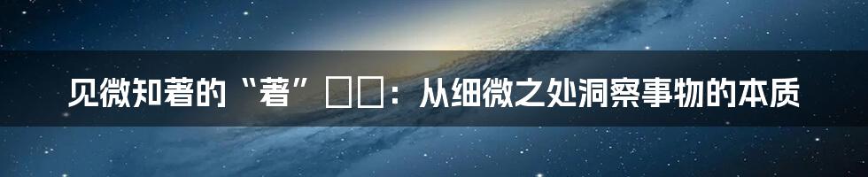 见微知著的“著”とは：从细微之处洞察事物的本质