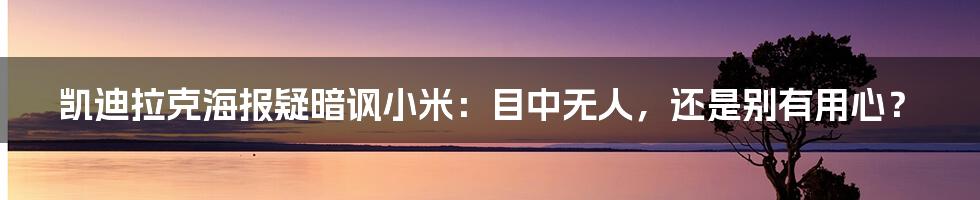 凯迪拉克海报疑暗讽小米：目中无人，还是别有用心？