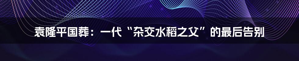 袁隆平国葬：一代“杂交水稻之父”的最后告别