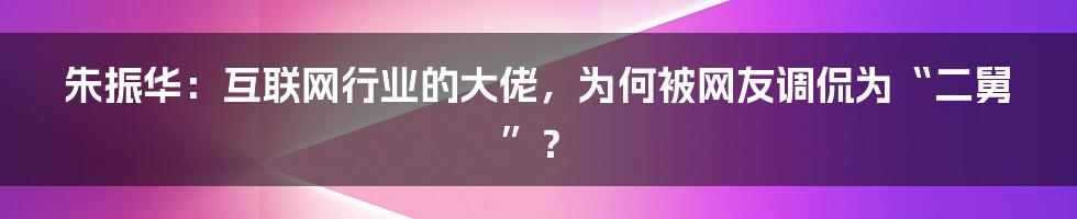 朱振华：互联网行业的大佬，为何被网友调侃为“二舅”？