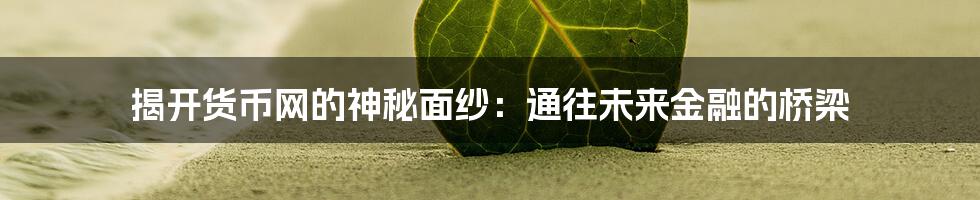 揭开货币网的神秘面纱：通往未来金融的桥梁