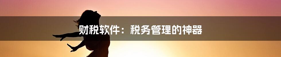 财税软件：税务管理的神器