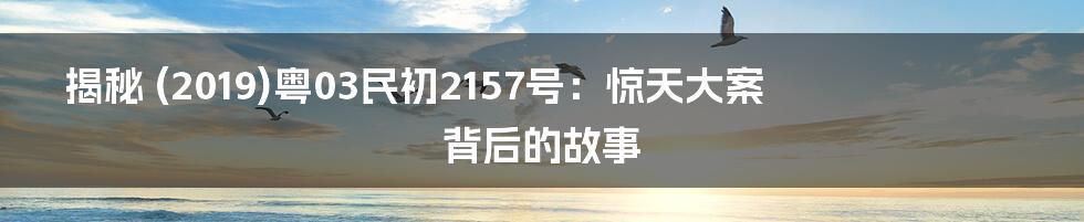 揭秘 (2019)粤03民初2157号：惊天大案背后的故事