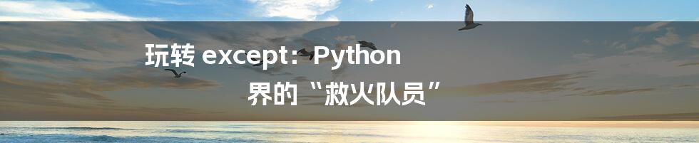 玩转 except：Python 界的“救火队员”