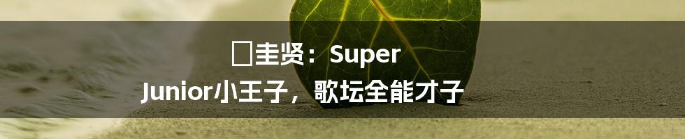 曺圭贤：Super Junior小王子，歌坛全能才子