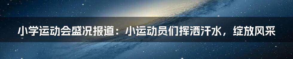 小学运动会盛况报道：小运动员们挥洒汗水，绽放风采