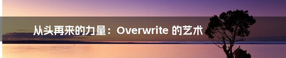 从头再来的力量：Overwrite 的艺术