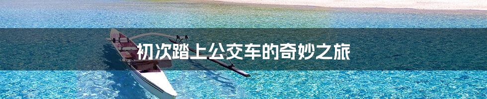 初次踏上公交车的奇妙之旅